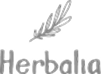 vghb
